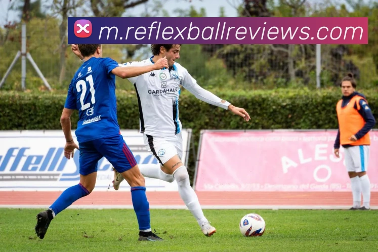 未来规划